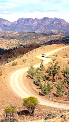 Flinders Range NP, SA.
